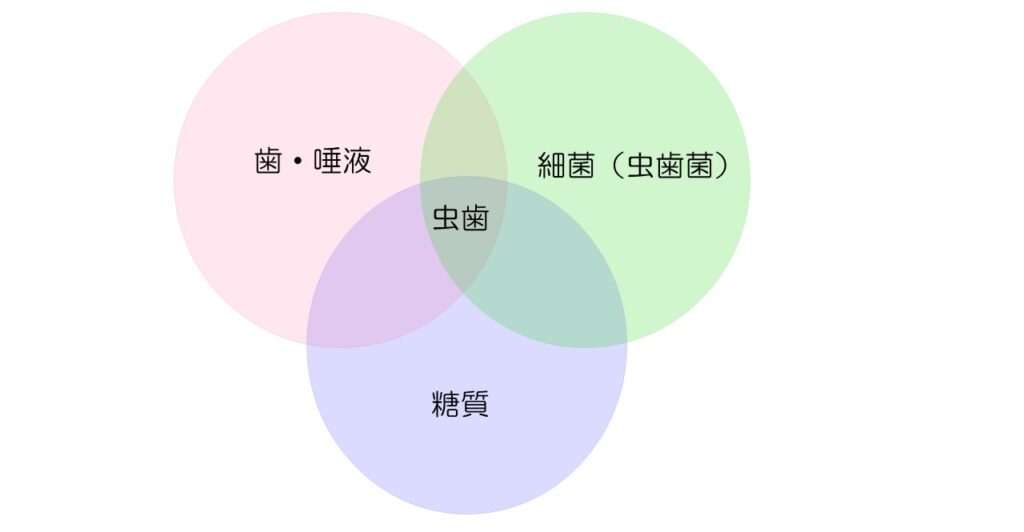 虫歯になりやすい人の特徴 | 西田辺(阿倍野区)の歯医者 歯周病|西田辺えがしら歯科